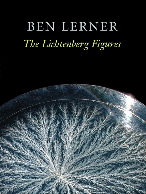 Title details for The Lichtenberg Figures by Ben Lerner - Available
